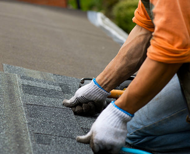 Roof Waterproofing Services in Appleton City, MO